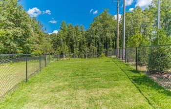 Dog park and pet grooming station